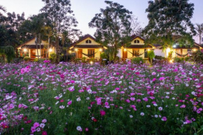 The Nest House
